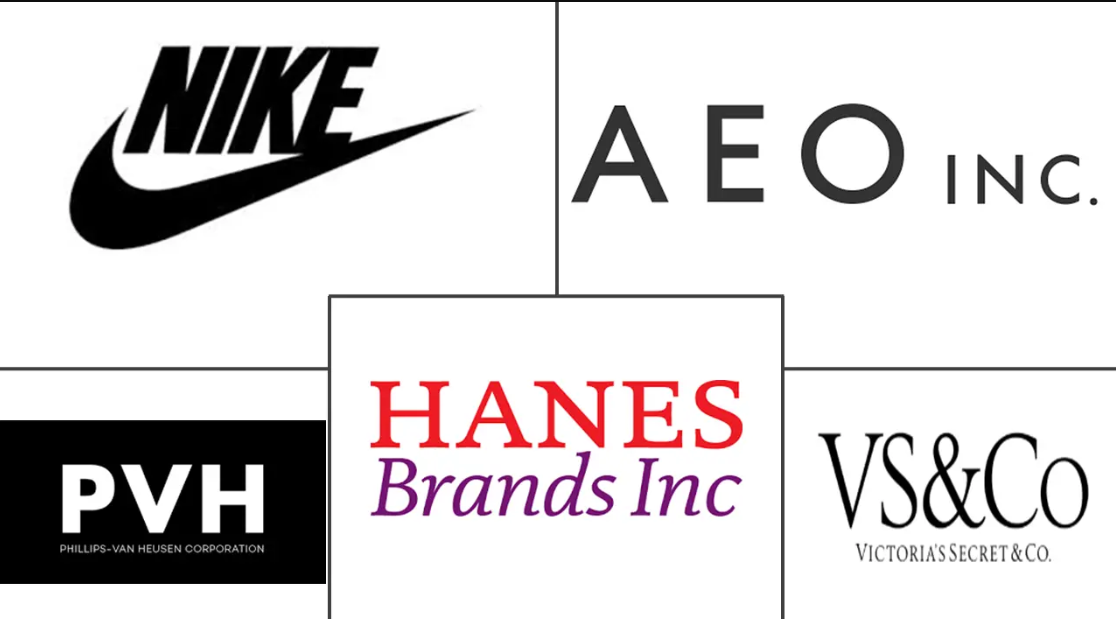North America Lingerie Market report, North America Lingerie Market Major Players